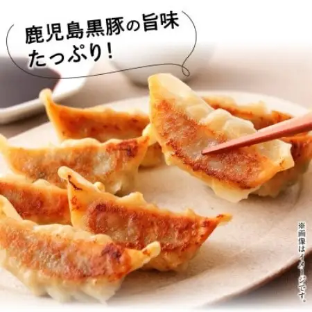 鹿児島黒豚餃子12P(計144個)【配送不可地域：離島】【1728765】