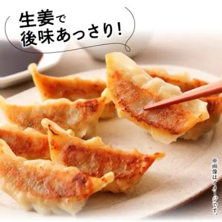 鹿児島黒豚餃子生姜風味12P(計144個)【配送不可地域：離島】【1728768】