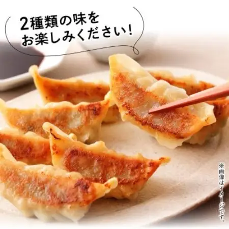 鹿児島黒豚餃子2種類12P(計144個)【配送不可地域：離島】【1728770】