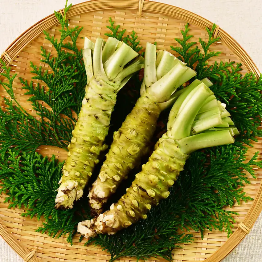 伊豆のわさびセットＧ　　　【 わさび 】