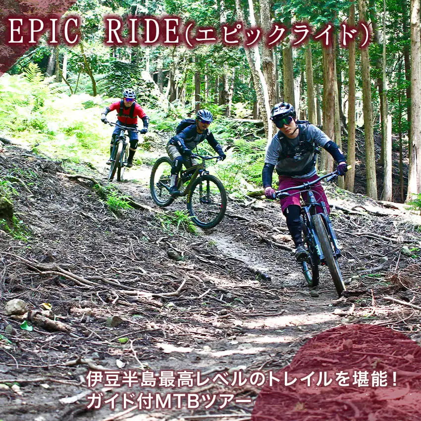 中級者 上級者向き 伊豆 マウンテンバイクツアー ガイド付き
