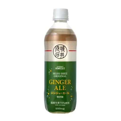 【2ヵ月定期便】成城石井 ジンジャーエール 500ml×24本