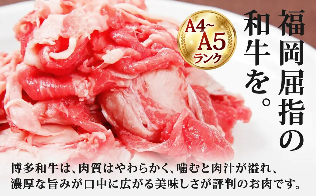 【 訳あり 】 【 A4～A5ランク 】 博多和牛 切り落とし 約250g お肉 肉 ニク にく 牛肉 牛 和牛 赤身 肩肉 バラ肉 脂 小分け 包装 国産 福岡県産 冷凍