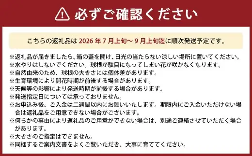 竹田市産サフラン球根 9個セット 【 2026年7月上旬～9月上旬まで発送予定 】