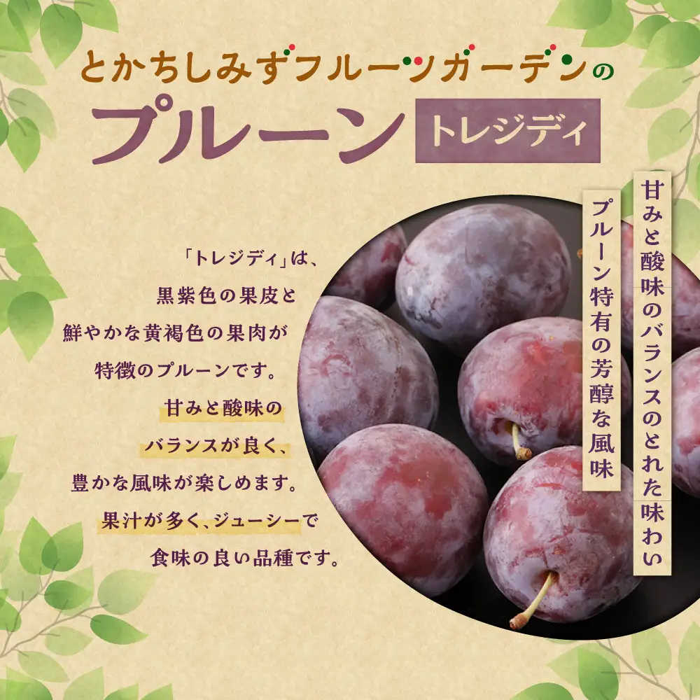 【2026年発送！】とかちしみずフルーツガーデンの冷凍プルーン2種食べ比べ 1.2kg 北海道産 産地直送 果物 冷凍フルーツ_S009-0020