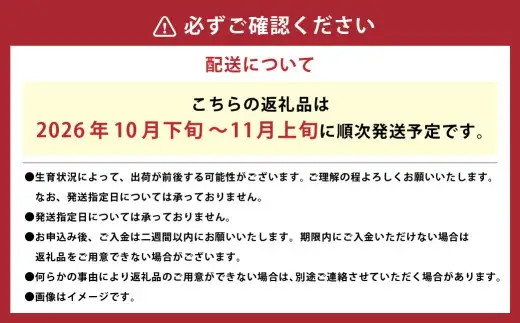 大玉 アールスメロン 4L （2kg以上） 2個入り 【2026年10月下旬～11月上旬まで順次発送予定】