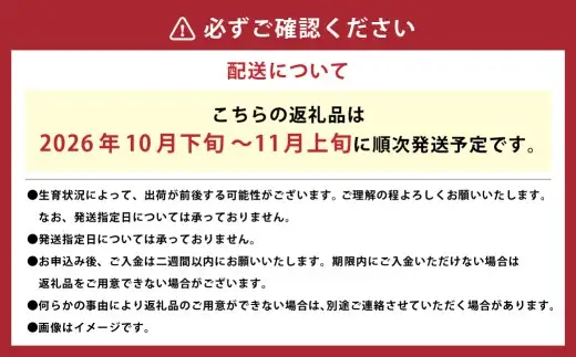 アールスメロン 約8kg （4～6玉） 【2026年10月下旬～11月上旬まで順次発送予定】