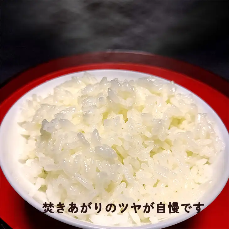 【12ヶ月定期便】銀河のしずく 厳選プレミアム 玄米 2kg【2530】