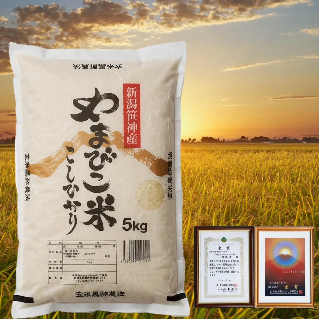 【令和7年産】コシヒカリ「やまびこ米」10kg(5kg×2袋) 玄米黒酢農法 金賞受賞 特別栽培米 白米 精米 農家直送 新潟県 米 こめ コメ 数量限定 1P03018