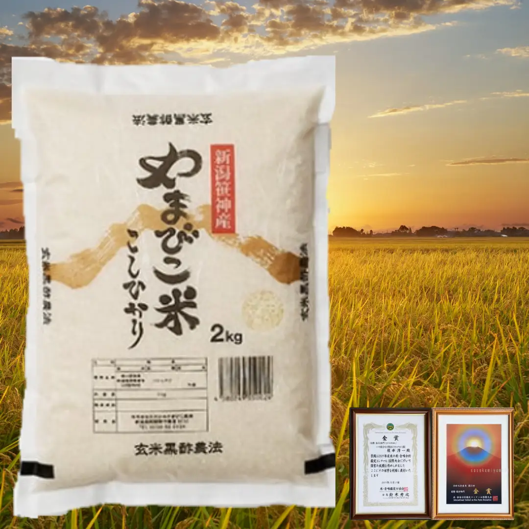 【令和7年産】【2か月定期便】コシヒカリ「やまびこ米」2kg×2回 玄米黒酢農法 金賞受賞 特別栽培米 白米 精米 農家直送 新潟県 米 こめ コメ 数量限定 1P06011
