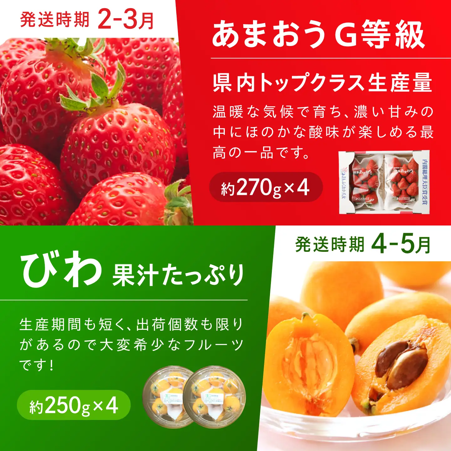 【6回定期便】フルーツ定期便（あまおう/びわ/桃/ぶどう/シャインマスカット/キウイ） 広川町 / JAふくおか八女農産物直売所どろや[AFAB119]