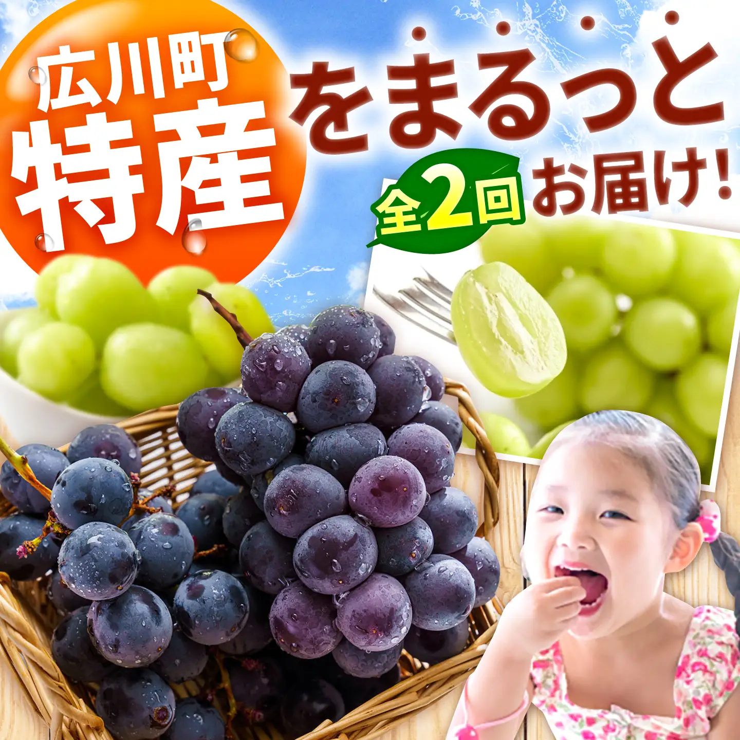 【2回定期便】フルーツ定期便（ぶどう/シャインマスカット） 広川町 / JAふくおか八女農産物直売所どろや[AFAB122]