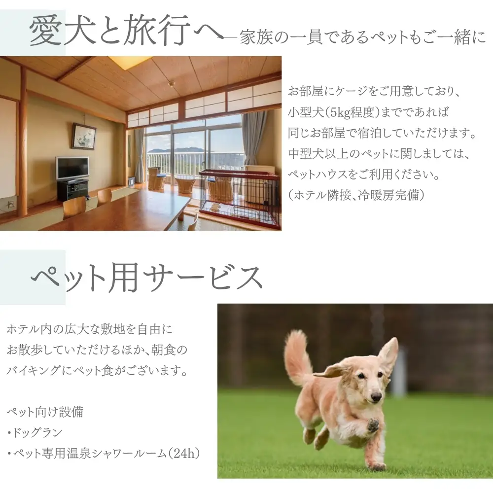 ホテルベルヴェデーレ 宿泊クーポン 60,000円分 宿泊チケット リゾートホテル 和歌山 紀南 南紀 観光【iki111】 