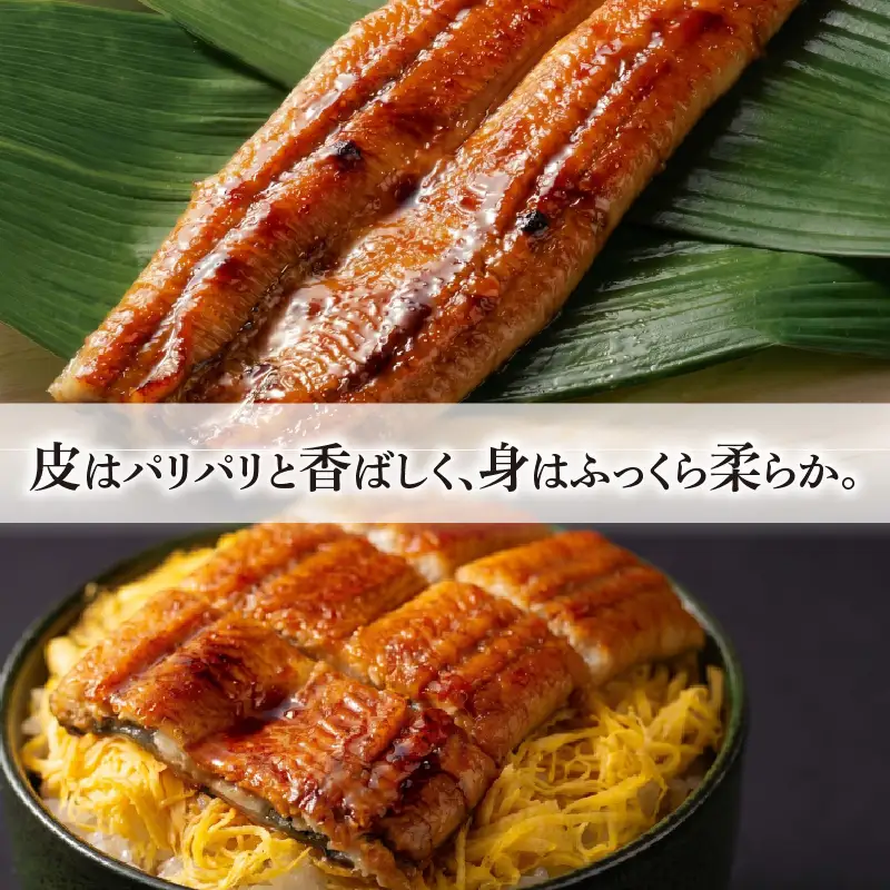鰻 蒲焼 1尾 セット 土佐料理司