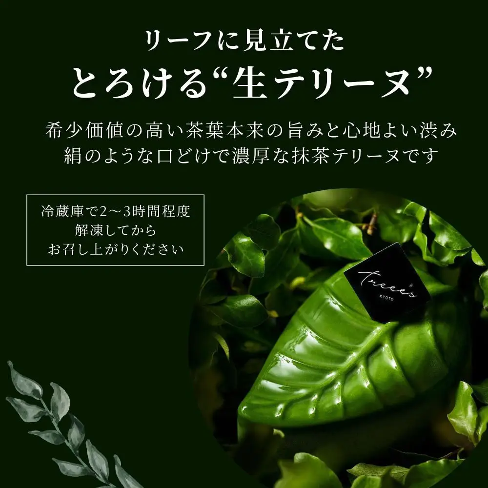 【TREEE’S】抹茶テリーフ｜京都 スイーツ ブランド 人気 抹茶スイーツ