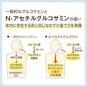 関節ケア グルコサミン（28302）【機能性表示食品】山田養蜂場