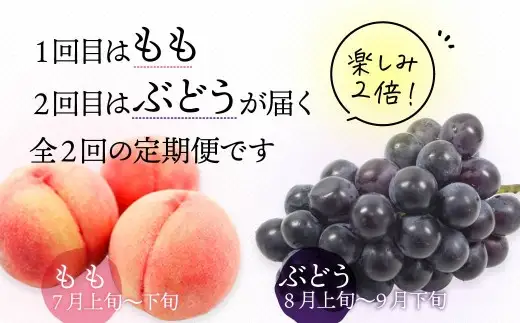 【ふるなび限定】フルーツ 食べ比べ 4kg 桃 ぶどう 定期便 フルーツ FN-Limited-WE