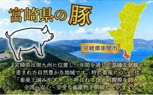 《2026年9月発送》宮崎県産豚バラエティー4.1kgセット_K033-057-2609