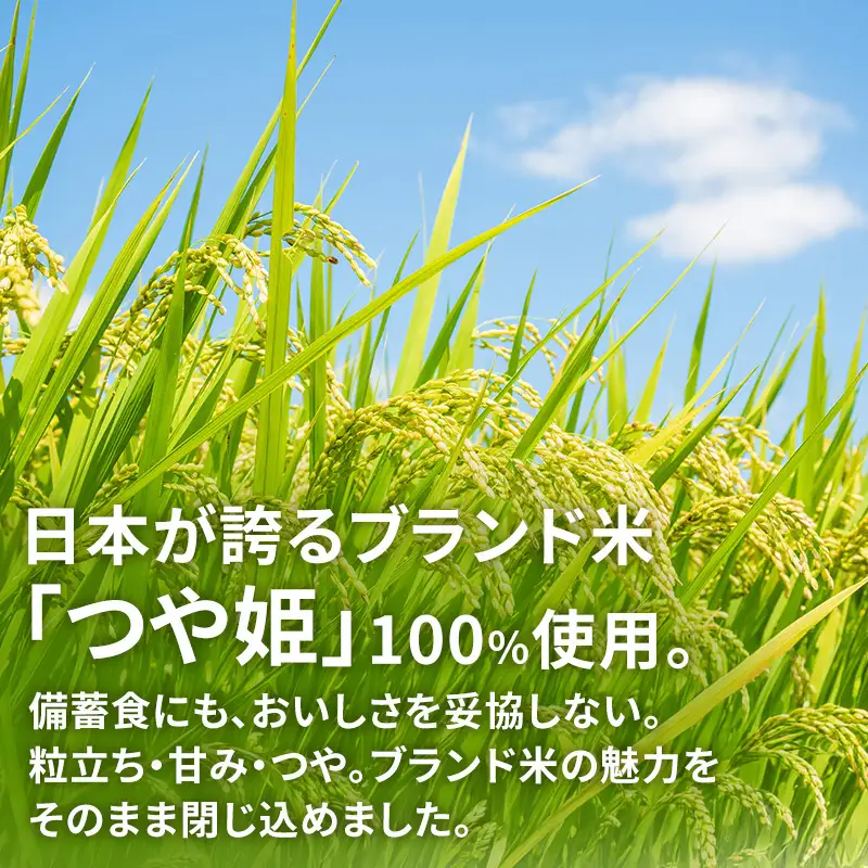 宮城県大河原町産つや姫のアルファ化米 わかめご飯 100g 10袋セット お米 長期保存 非常食 アルファ米 ご飯 ごはん 防災食 備蓄 保存食 常温 つや姫