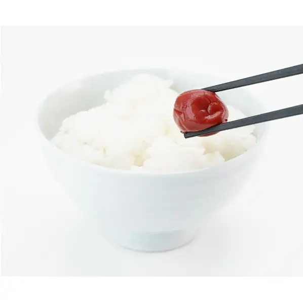 大河原産 昔ながらのすっぱいしそ梅干し 270g 20個セット ご飯のお供に 梅干し 梅干 うめぼし ウメボシ 梅 ごはんのお供 ご飯のお供 おにぎり 弁当 お弁当