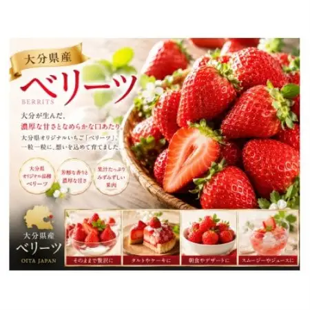 ベリーツ　(270g×2P)(日出町)【配送不可地域：離島・北海道・沖縄県・東北・関東・信越、北陸・東海・中国・四国】【1753861】
