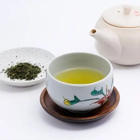 深蒸し掛川茶 掛川の城 セット500g×2袋(1kg)【配送不可地域：離島・沖縄県】【1091796】