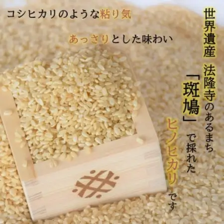 世界遺産「法隆寺」のあるまちで採れた玄米【ヒノヒカリ】5.5kg　令和7年産【1756272】