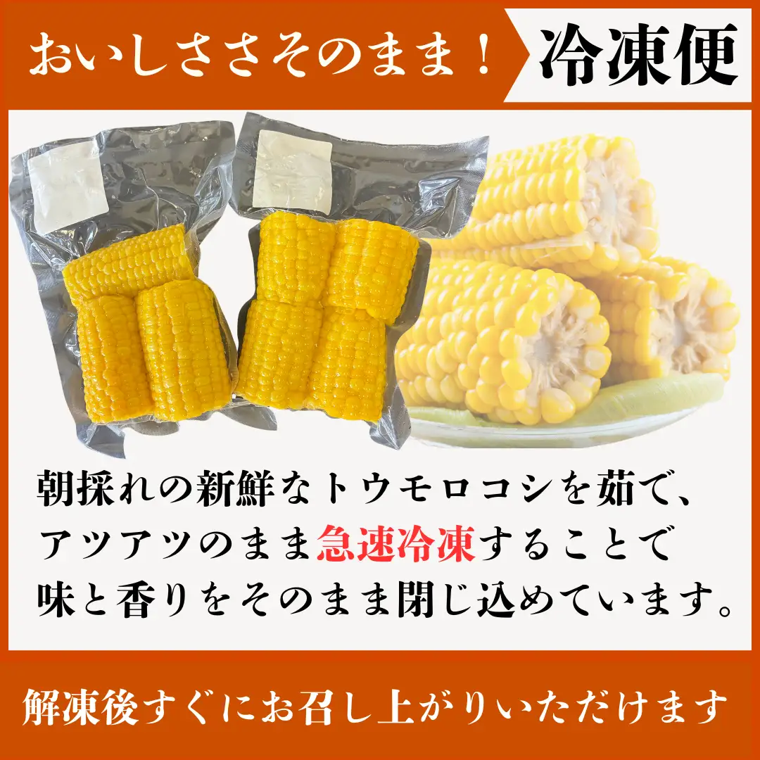 とうもろこし 1.5kg 冷凍トウモロコシ 秋田県産 パック 訳あり
