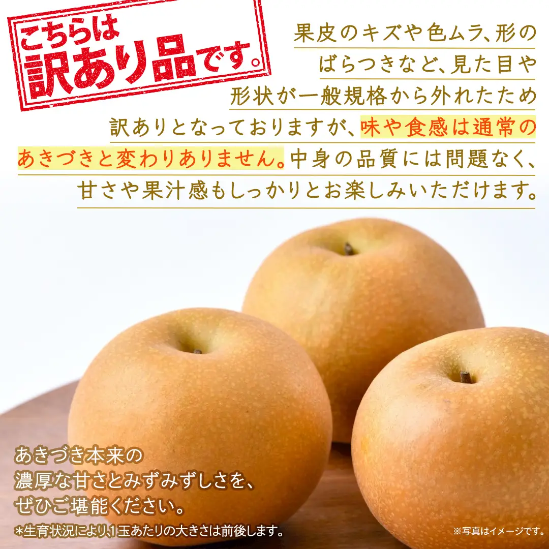＜ 訳あり ＞ あきづき 約5kg 【2026年10月より発送開始】（茨城県共通返礼品 [梨]：大子町産）