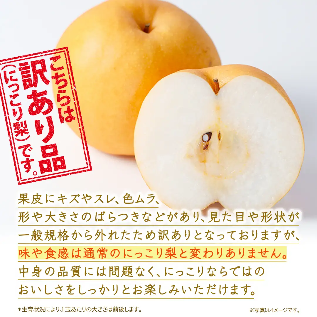 ＜ 訳あり ＞ にっこり 約5kg 【2026年10月より発送開始】（茨城県共通返礼品 [梨]：大子町産）