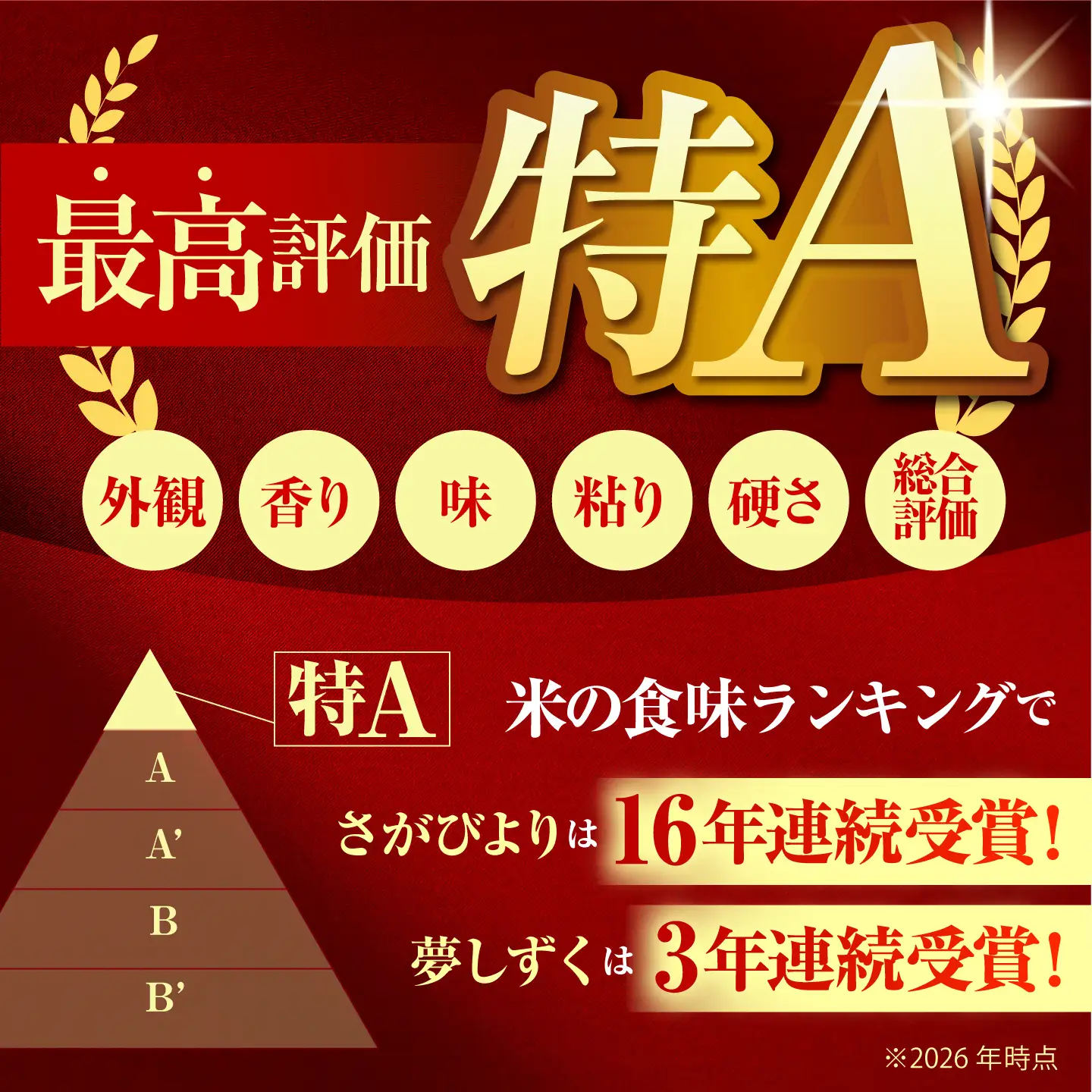 【全3回定期便】 無洗米 食べ比べ さがびより・夢しずく 20kg（各5kg×2袋）【五つ星お米マイスター厳選】特A米 特A評価[HBL152]
