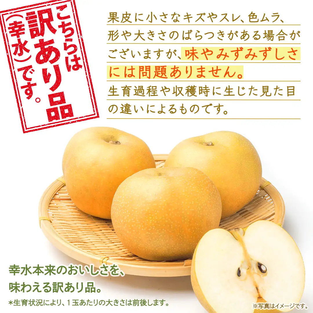＜ 訳あり ＞ 幸水 約5kg 【2026年8月より発送開始】（茨城県共通返礼品 [梨]：大子町産）