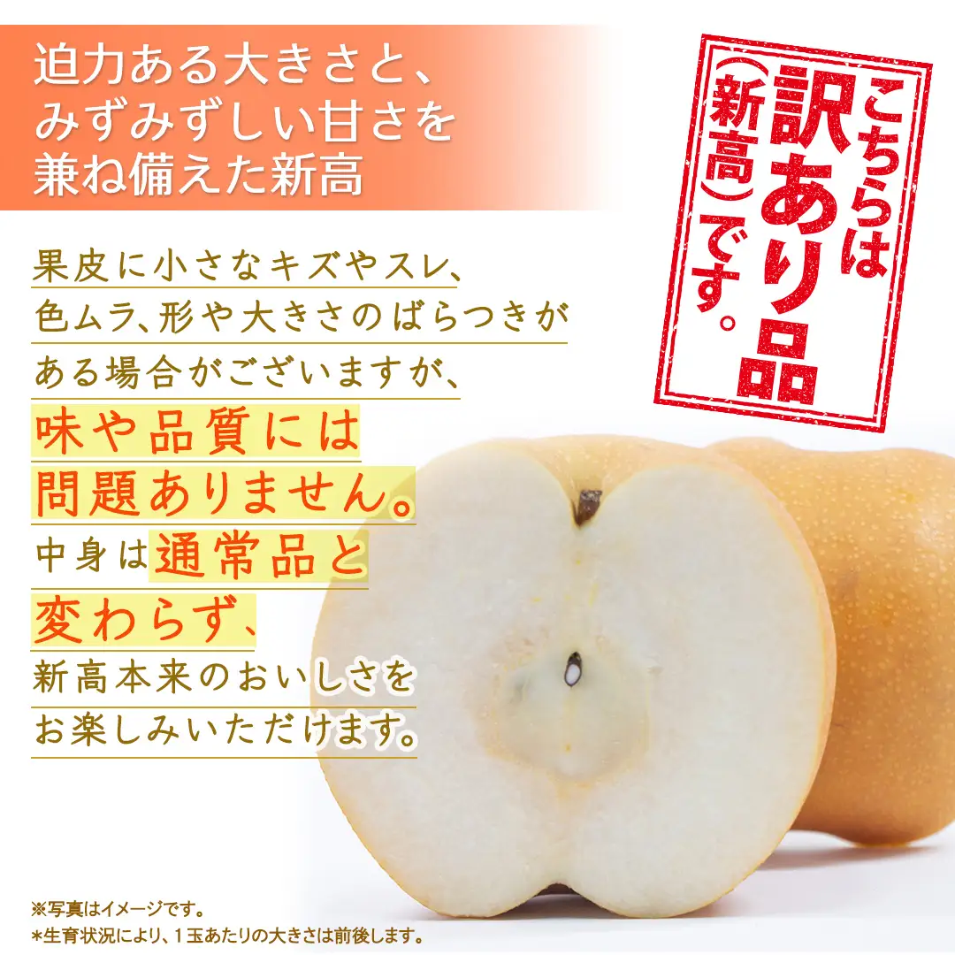 ＜ 訳あり ＞ 新高 約5kg 【2026年10月より発送開始】（茨城県共通返礼品 [梨]：大子町産）