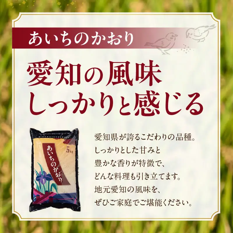 【令和８年産 先行予約】あいちのかおり（精米）15kg（11月発送）（3778）