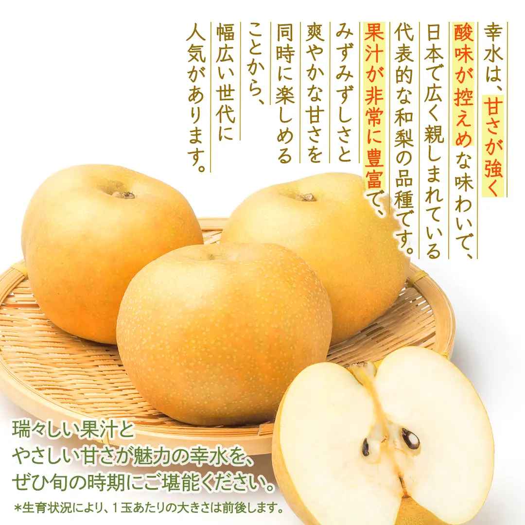 幸水 約5kg【2026年8月より発送開始】（茨城県共通返礼品 [梨]：大子町産）