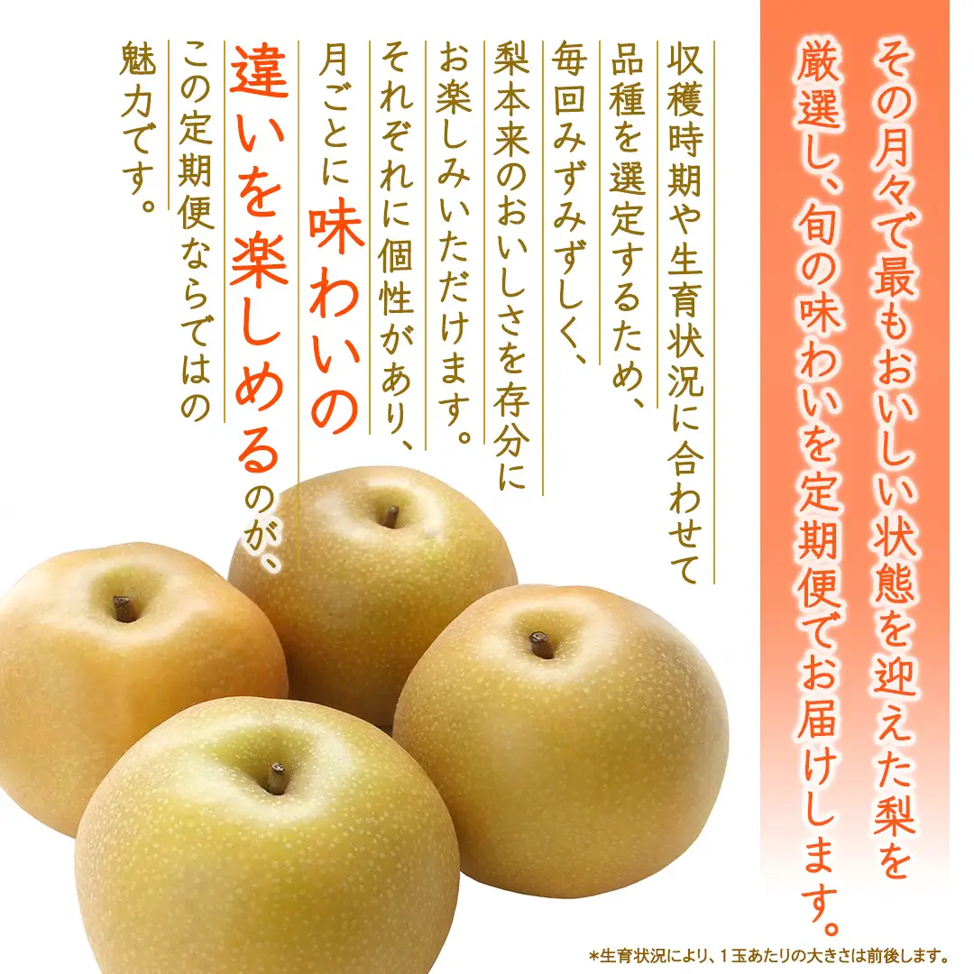 【定期便】3か月連続でお届け！ 旬の梨 おまかせ 約3kg（茨城県共通返礼品 [梨]：大子町産）