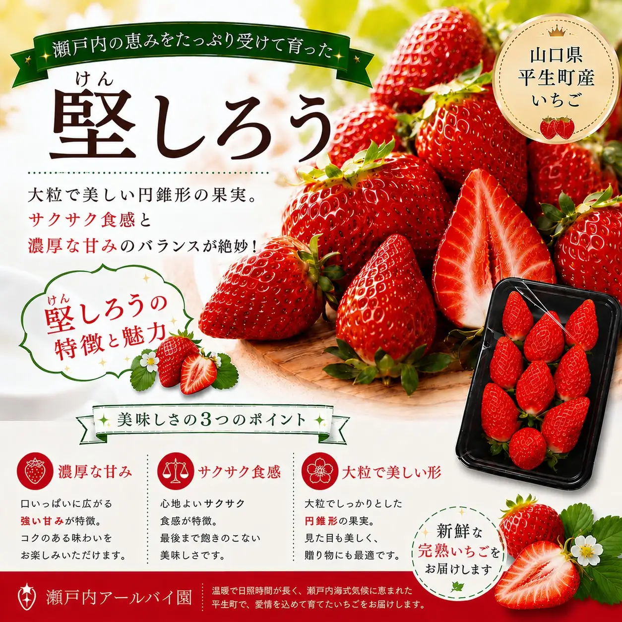 【令和8年度 先行予約】【年明け発送】堅しろう（けんしろう）480g【240g×2パック】
