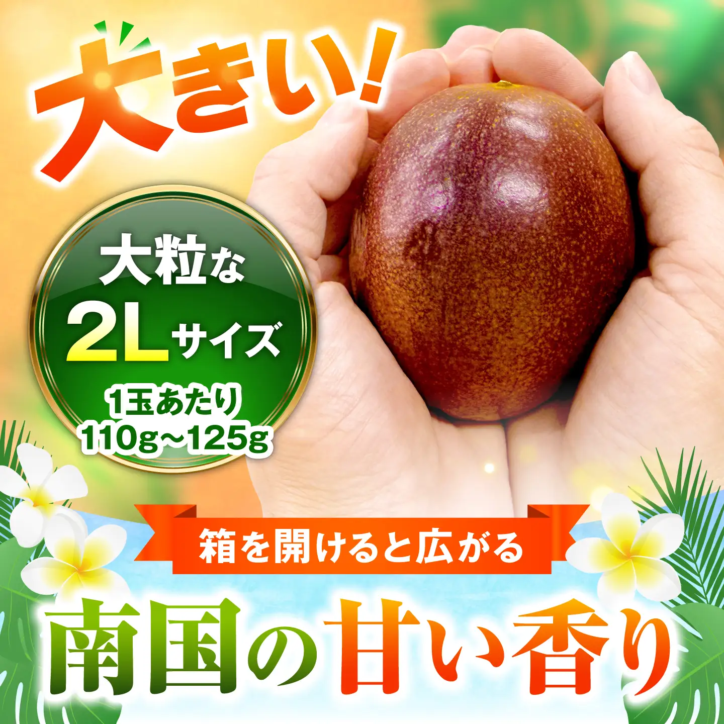【2027年発送】【先行予約】 沖縄県産パッションフルーツ (1kg箱入り)／南国フルーツ 国産 果物 ギフト 産地直送 お取り寄せ 沖縄産 沖縄市 / ちゃんぷる～市場[BCAA009]