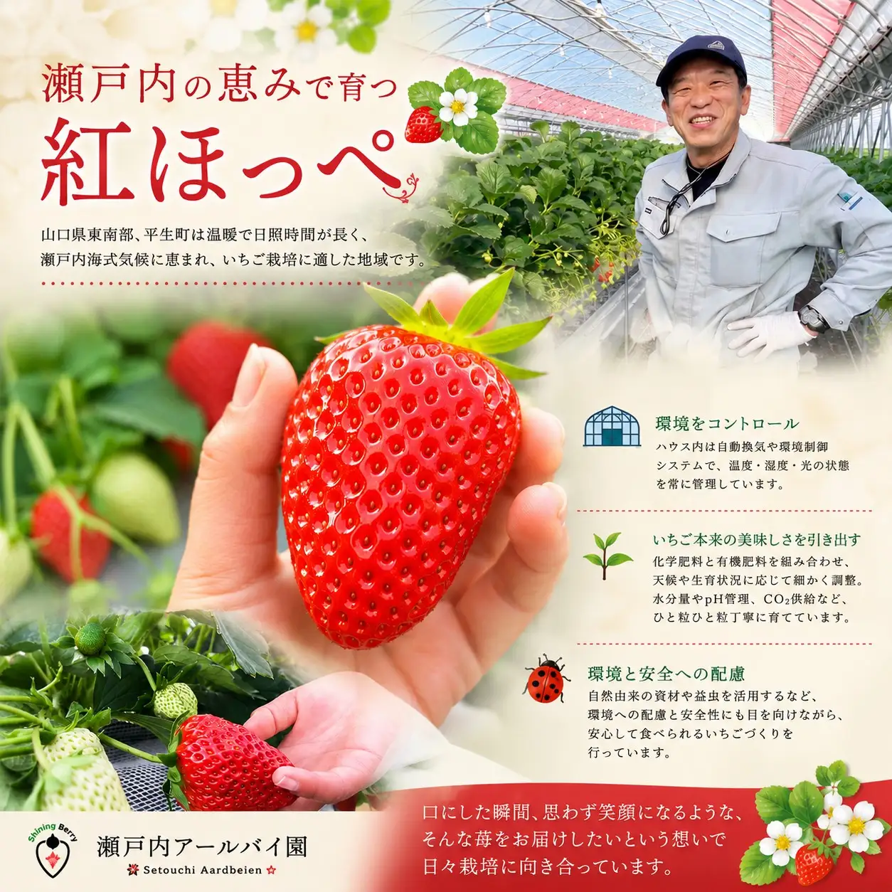 【令和8年度 先行予約】【年明け発送】紅ほっぺ480g【240g×2パック】