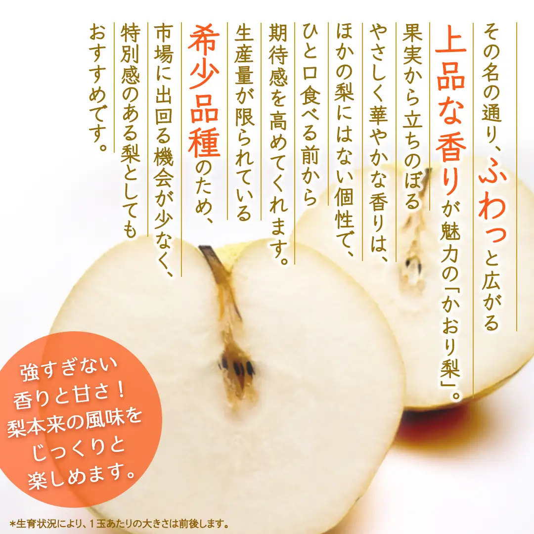 かおり 約5kg 【2026年9月より発送開始】（茨城県共通返礼品 [梨]：大子町産）