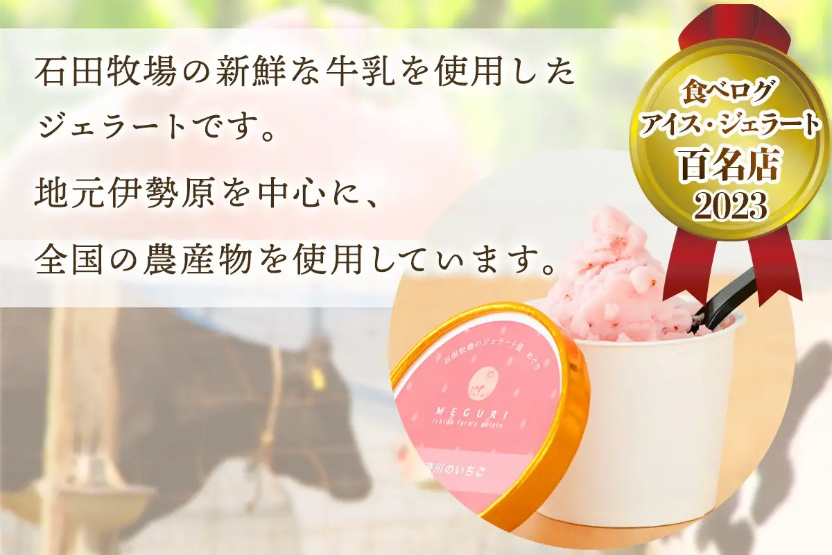 [定期便／3ヶ月連続] 石田牧場のジェラート屋めぐり 人気の定番ジェラートセット 計18個 (6個×3回) [1242]