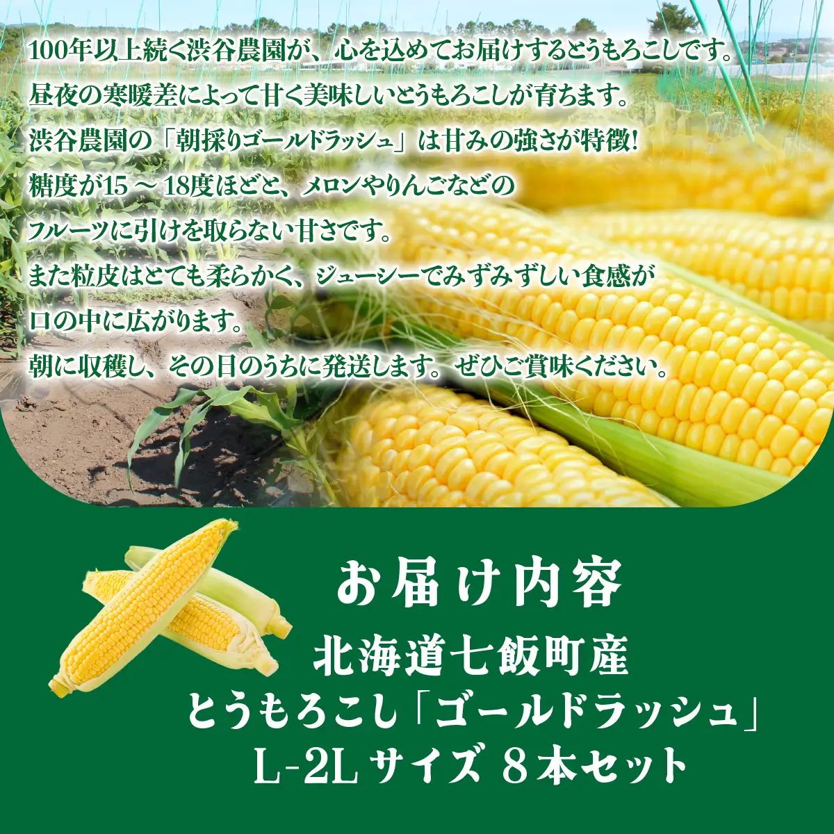 【先行予約 令和8年8月発送】北海道七飯町産 とうもろこし「ゴールドラッシュ」(L-2Lサイズ) 8本セット NABT006