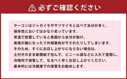 北海道生ヤーコン 6kg 【2026年10月上旬より順次発送予定】