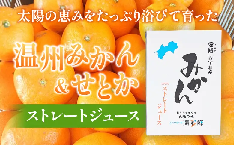＜【数量限定】果汁100％ みかんジュース 720ml×6本セット＞ 温州みかん せとか 果物 オレンジ ミカン みかん 蜜柑 柑橘 フルーツ 果実 くだもの 特産品 2種類 無添加 ストレート 西宇和産 玉やま農園 愛媛県 西予市 【常温】『1か月以内に順次出荷予定』MTN0010