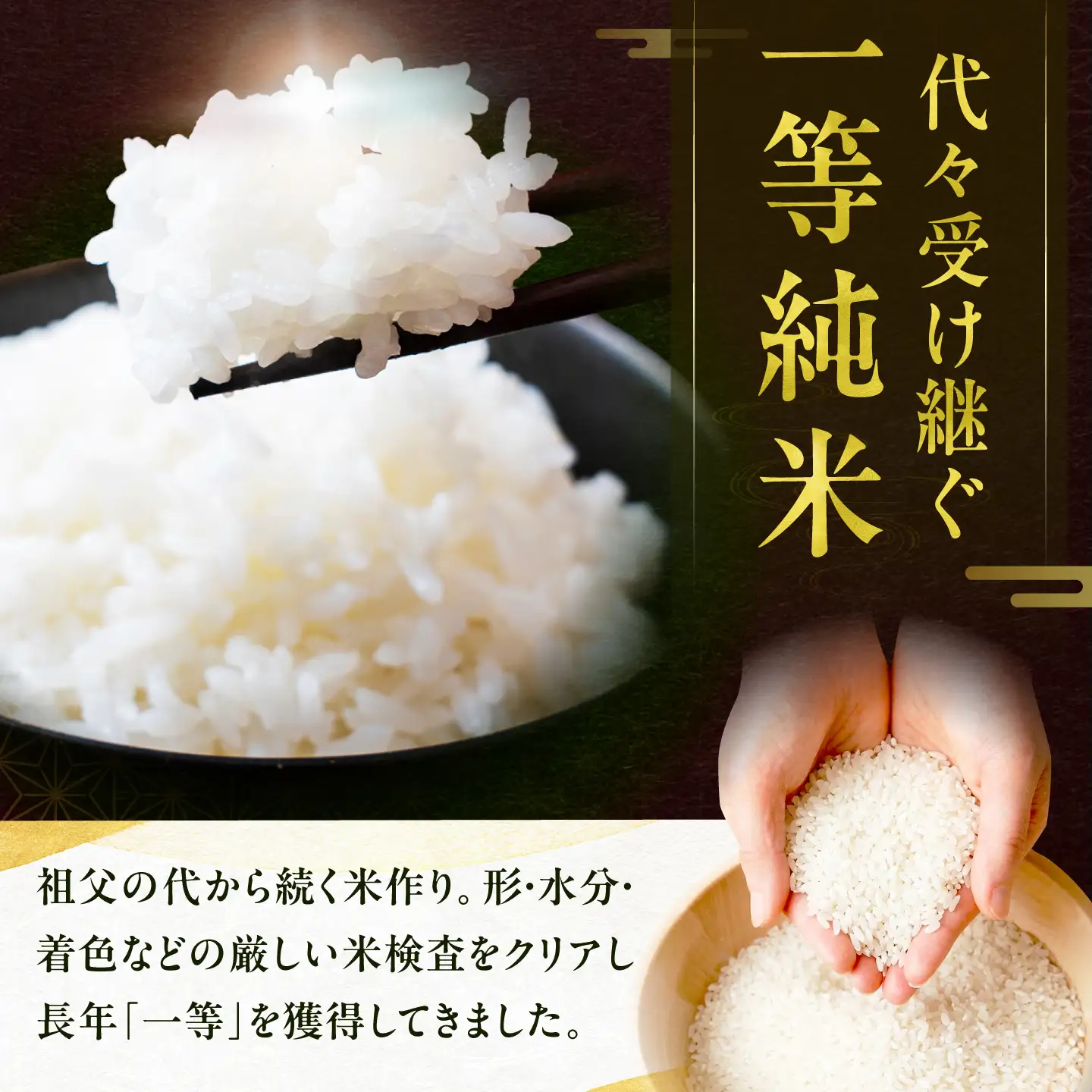 【3回定期便】 一等純米 にこまる 5kg / 米 お米 精米 白米 一等米 愛知県産 国産米 / 稲沢市 / 有限会社ハシモト耕販[BMBP005]