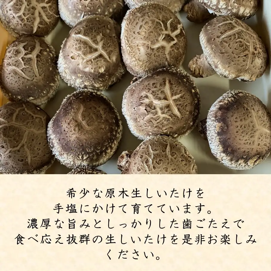 【先行予約】国東産 原木生しいたけ 700g 椎茸 シイタケ 国産 大分県_2767R