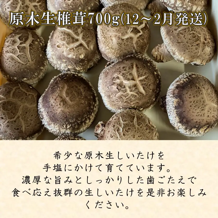 【先行予約】原木生椎茸と干し椎茸の定期便 計3回発送 しいたけ シイタケ 国産 大分県_2768R-2