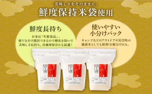 【新米受付・令和8年産米】新潟県村上市岩船産 新之助6kg（2kg×3袋）1099003N