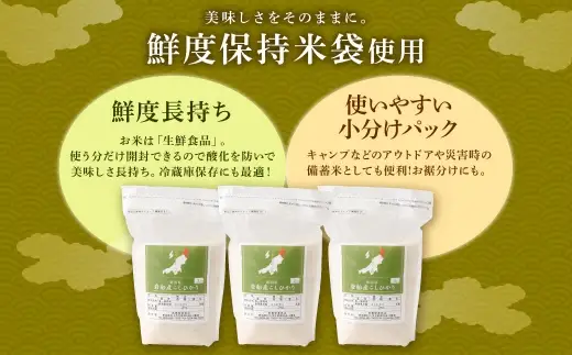 【新米受付・令和8年産米】新潟県村上市岩船産 コシヒカリ6kg（2kg×3袋）1099004N