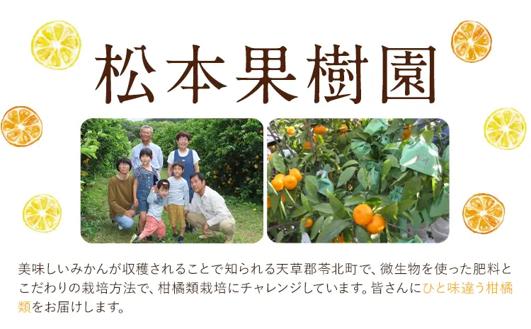 みかん あまくさ晩柑 10kg 松本果樹園 《5月上旬-5月下旬出荷予定》 熊本県 苓北町 スイーツ デザート 果物 ミカン 蜜柑